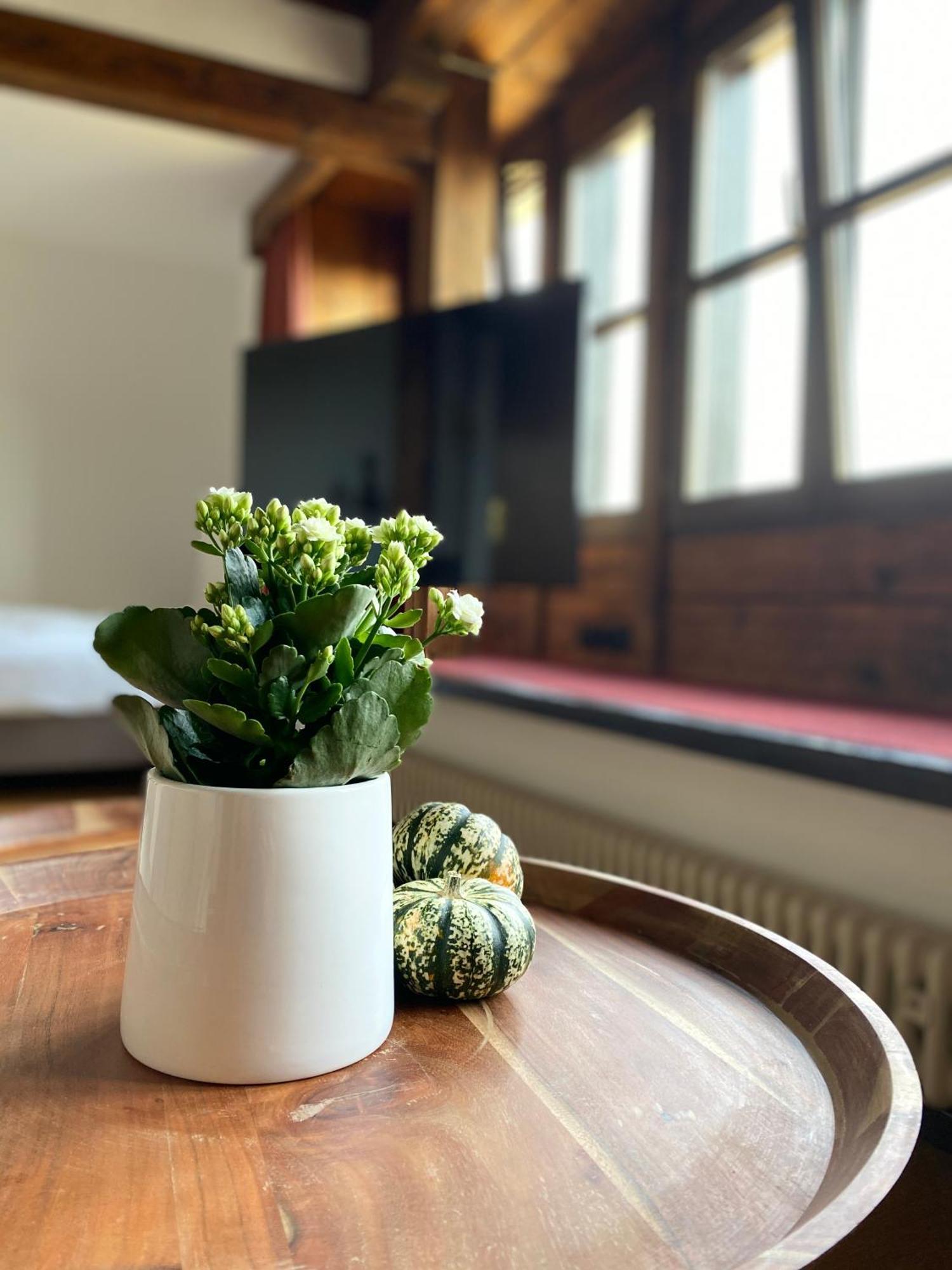 Apartmenthaus Eurenerstrasse 179 Trier Dış mekan fotoğraf